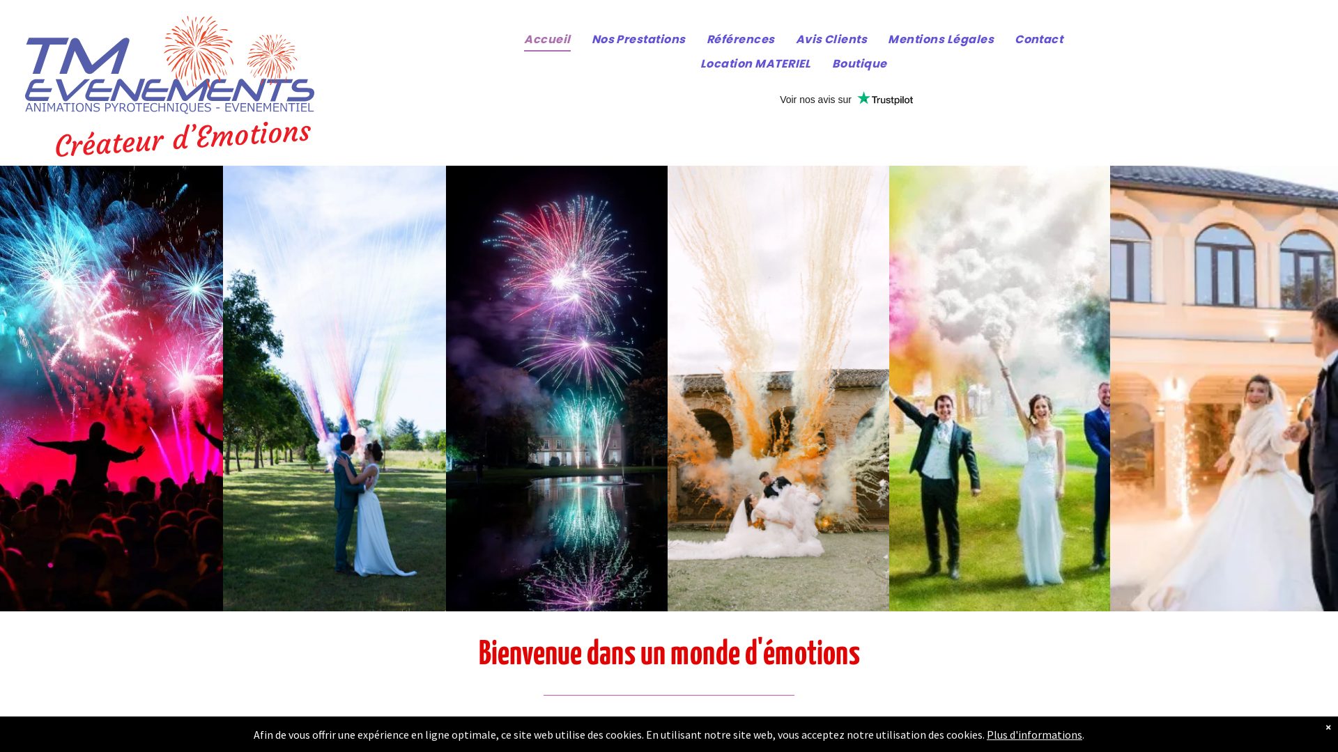 Capture d'écran de Organisation feu d'artifice