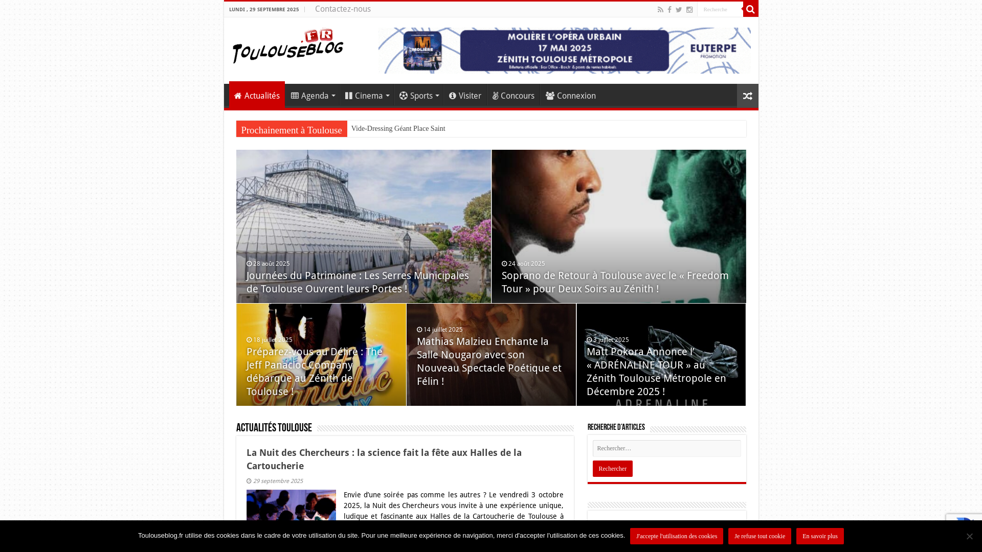 Capture d'écran de Actualité culture, sports et loisirs à Toulouse avec Toulouse Blog