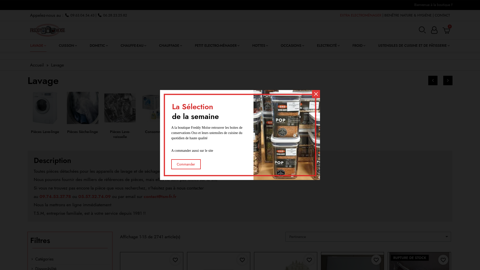 Capture d'écran de TSM Freddy Moise Pièces détachées et accessoires petit et gros électroménager, Pièces Dometic et Pièces chauffe-eau , Ustensiles de cuisine et pâtisserie .
