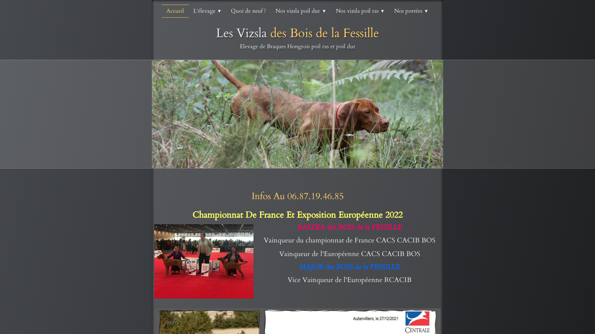 Capture d'écran de Elevage des Bois de la Fessille