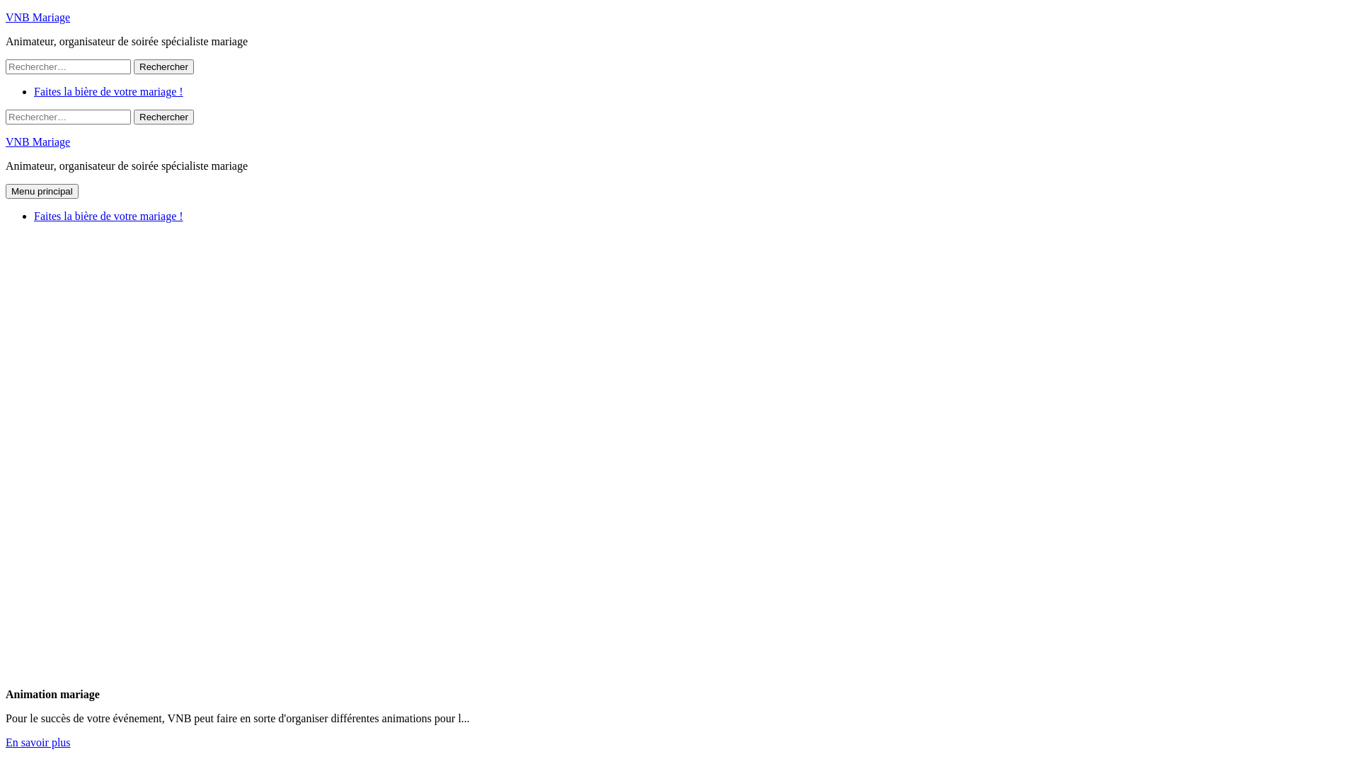 Vnb.fr: location vente installation sonorisation éclairage laser