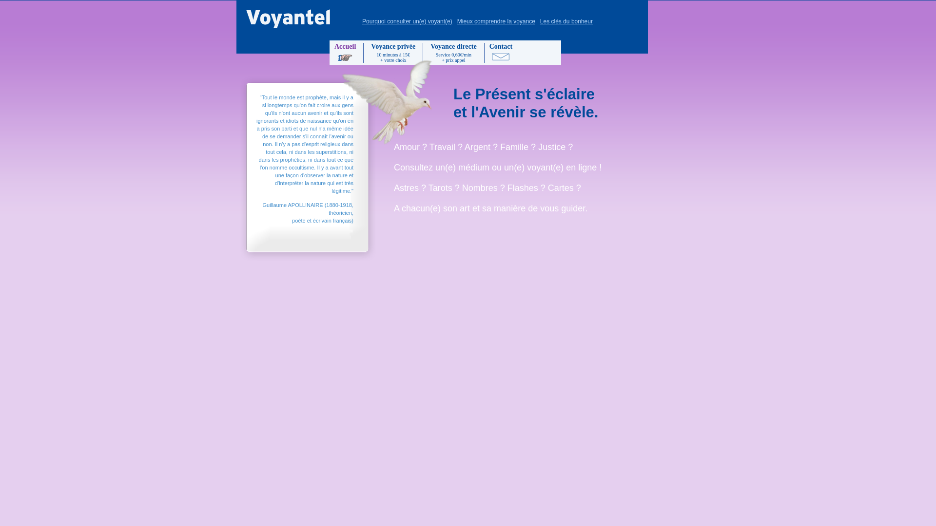 Capture d'écran de Voyantel