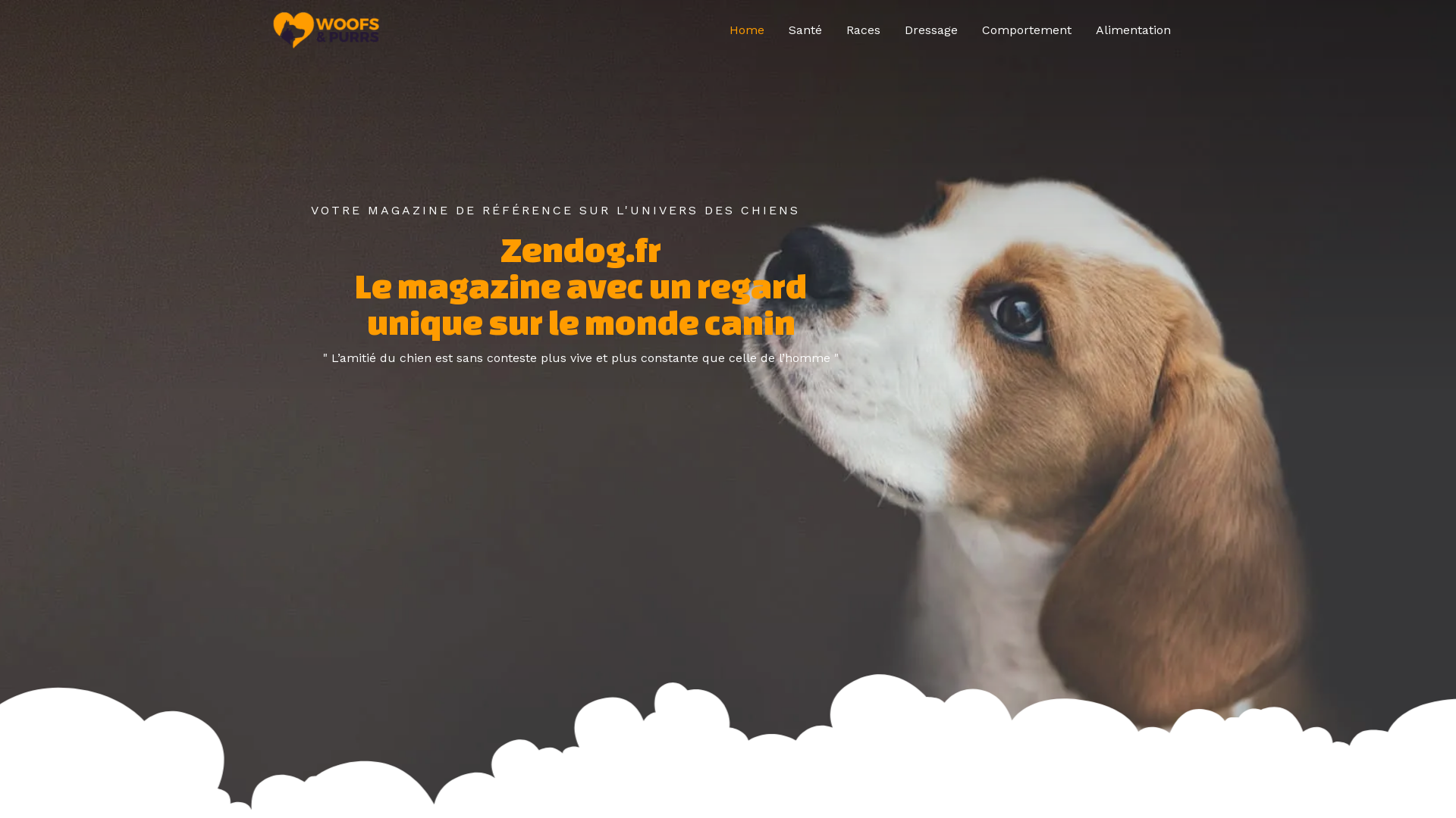 Capture d'écran de éducateur canin nice